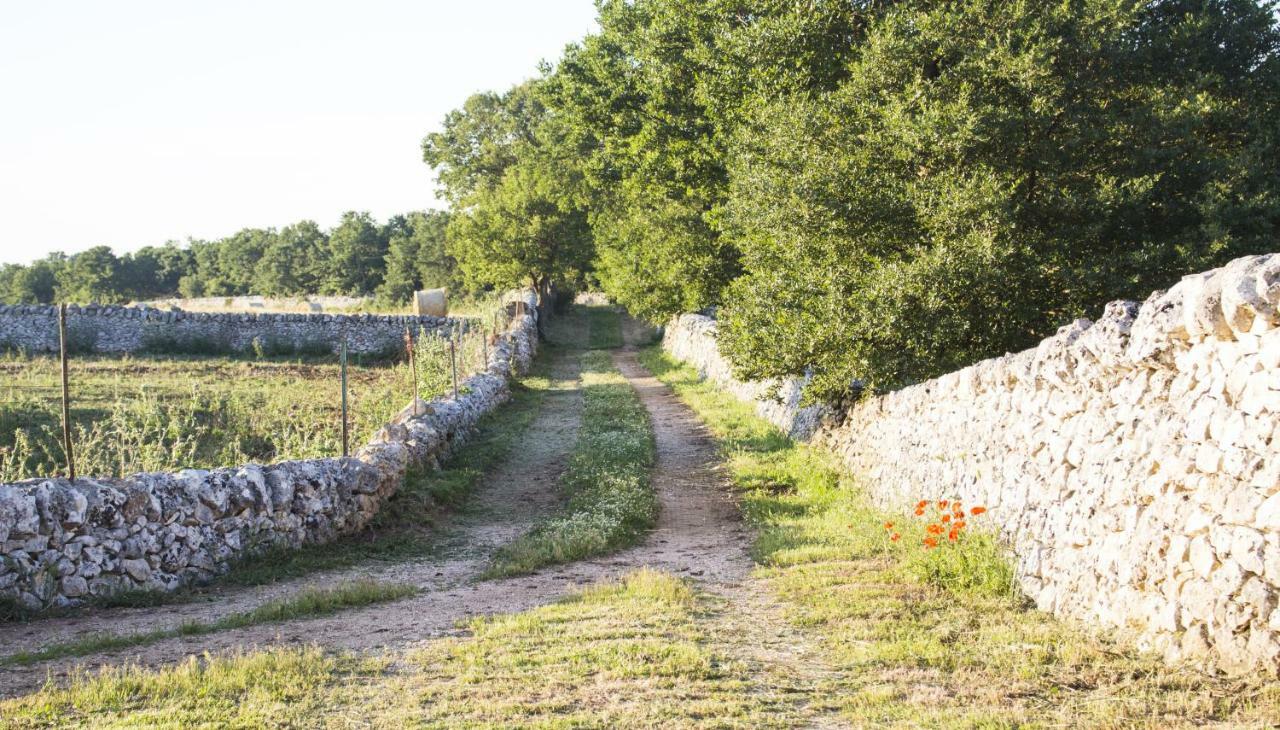 Trulli Sul Vignale In Masseria Santalachicca 马丁纳弗兰卡 外观 照片