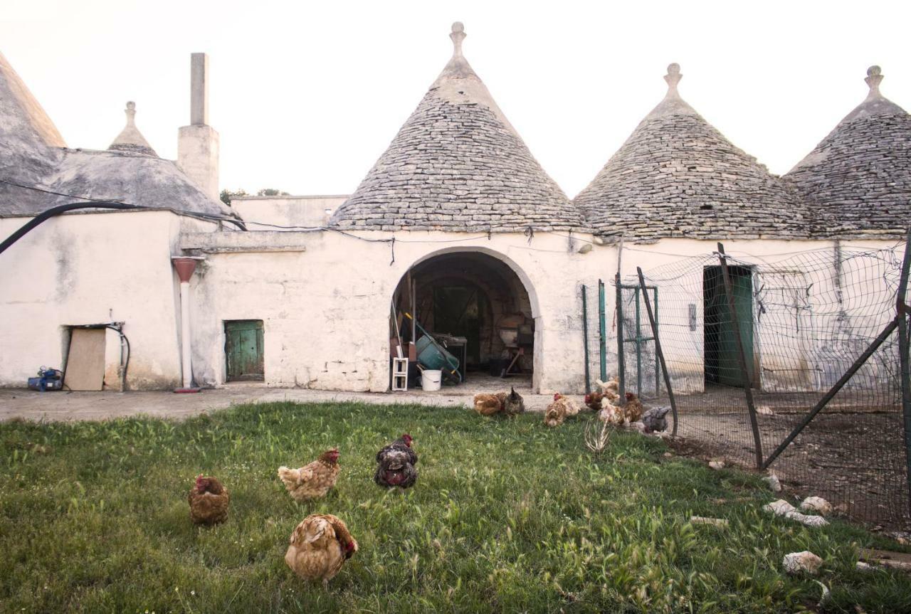 Trulli Sul Vignale In Masseria Santalachicca 马丁纳弗兰卡 外观 照片
